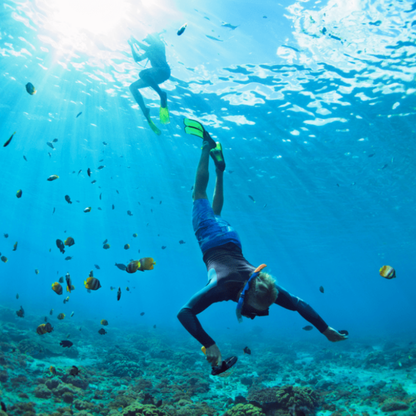 snorkel
